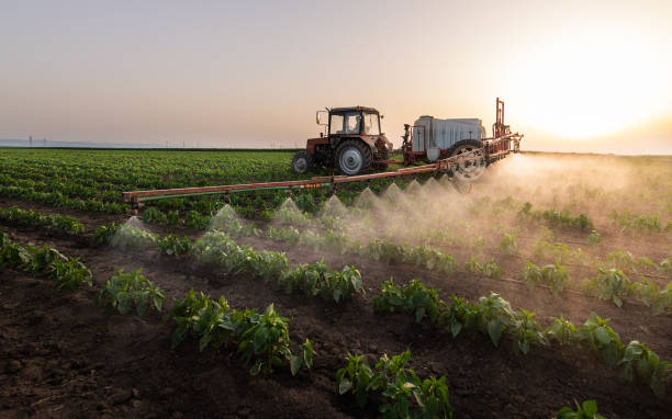 Best Mosquito Control Services  in Roberts, WI