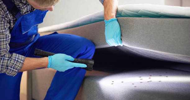 Best Emergency Pest Control  in Roberts, WI
