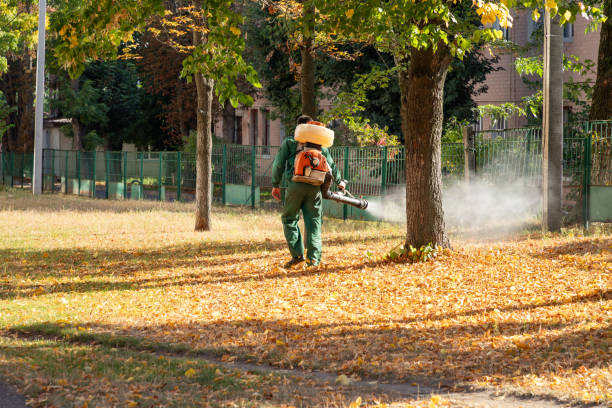 Pest Prevention Services in Roberts, WI