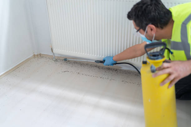 Best Residential Pest Control  in Roberts, WI