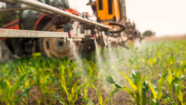 Best Pest Prevention Services  in Roberts, WI